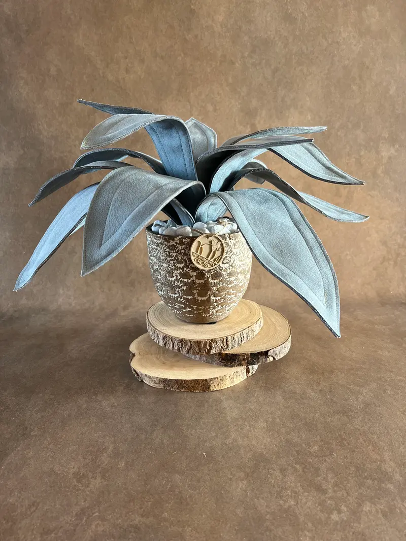 Agave in alcantara carta da zucchero