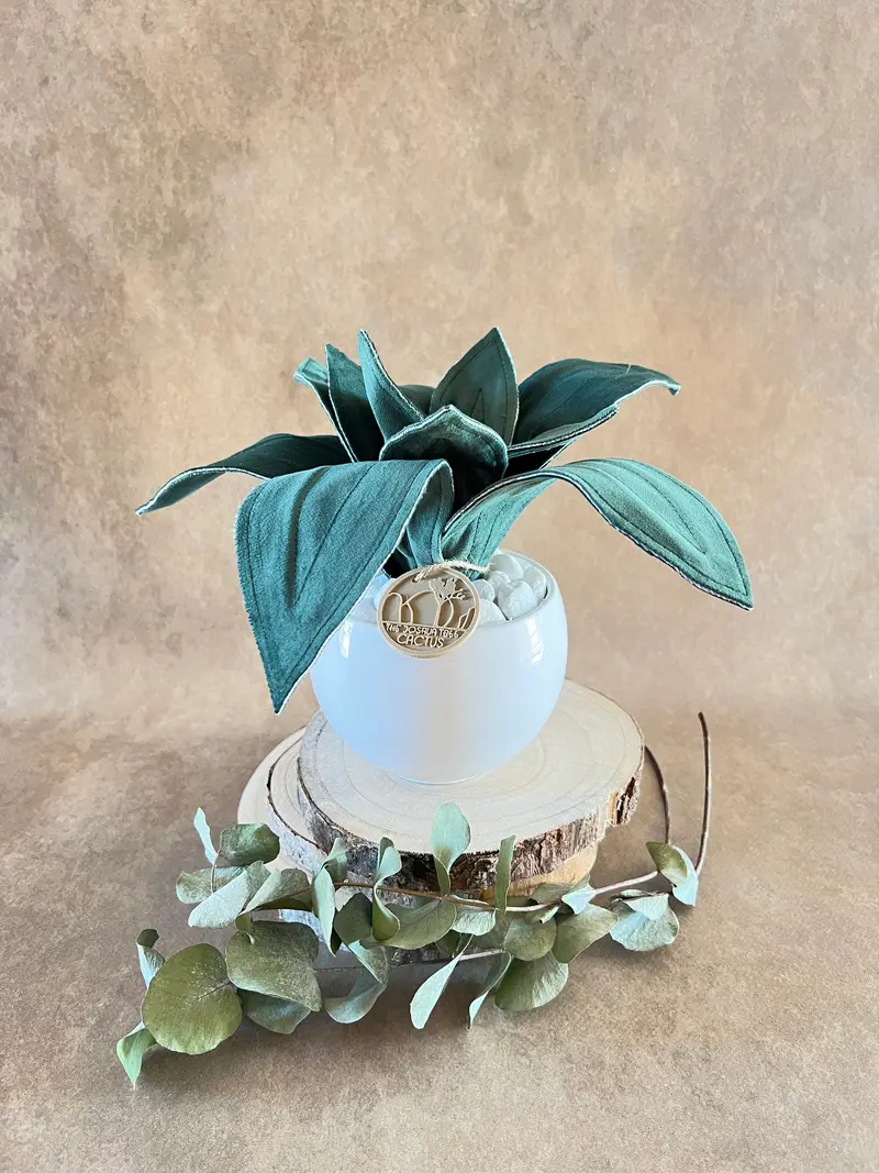 Agave mini in velluto verde scuro
