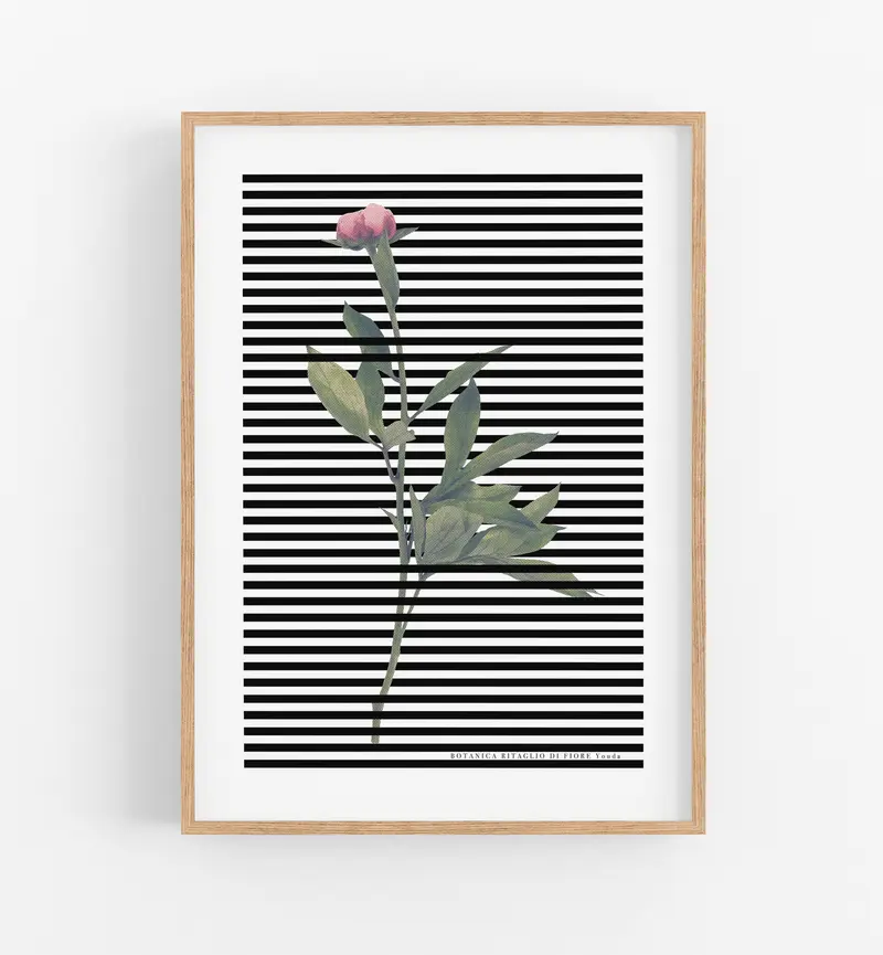 Botanica Ritaglio di un fiore
