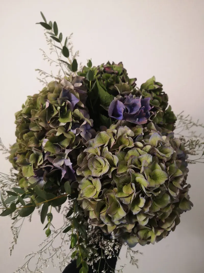 Bouquet hidrangea