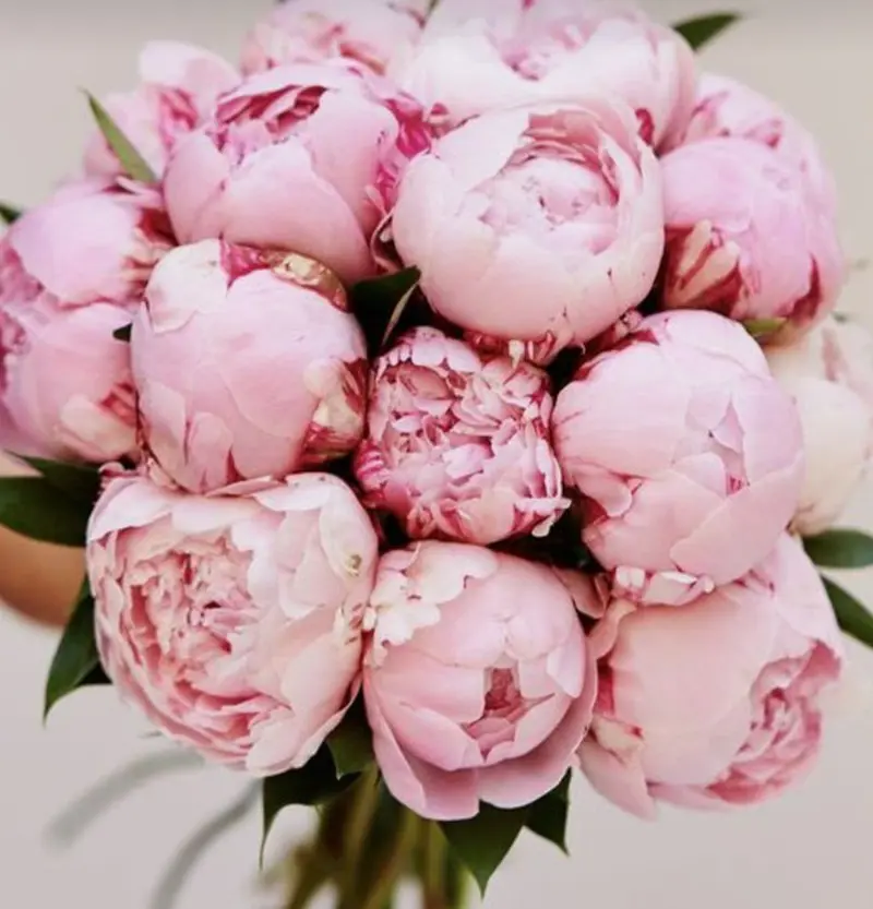 Bouquet Peonie