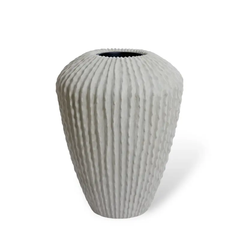 Cacti vaso