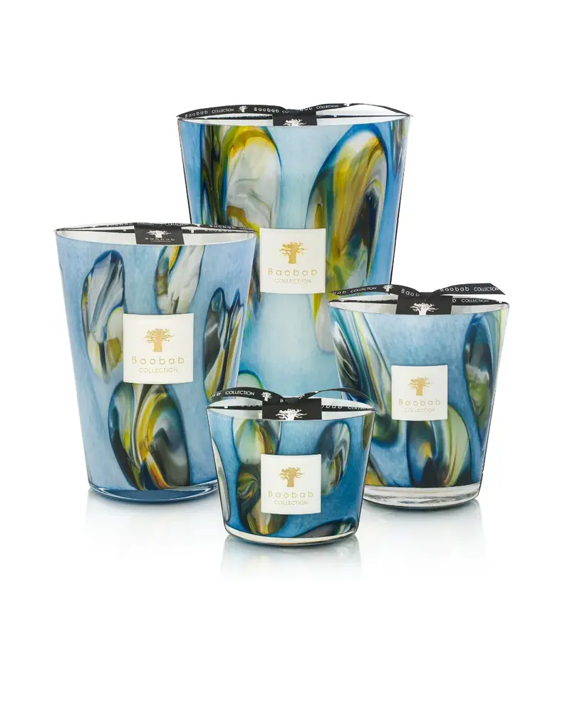Candela oceania tingari