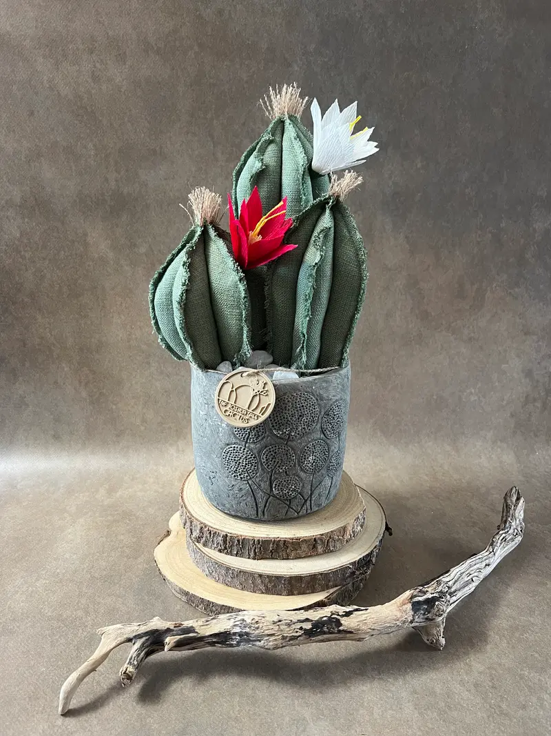 Composizione 3 cactus in cotone verde chiaro, vaso in ceramica opaca grigia con motivo "soffioni"  h circa 32cm - fiori staccabili.