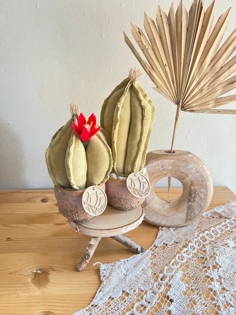 Coppia di mini Cactus in velluto verde chiarissimo, vaso in ceramica rosa  disegno astratto , h circa 18 e 22  cm - fiore staccabile