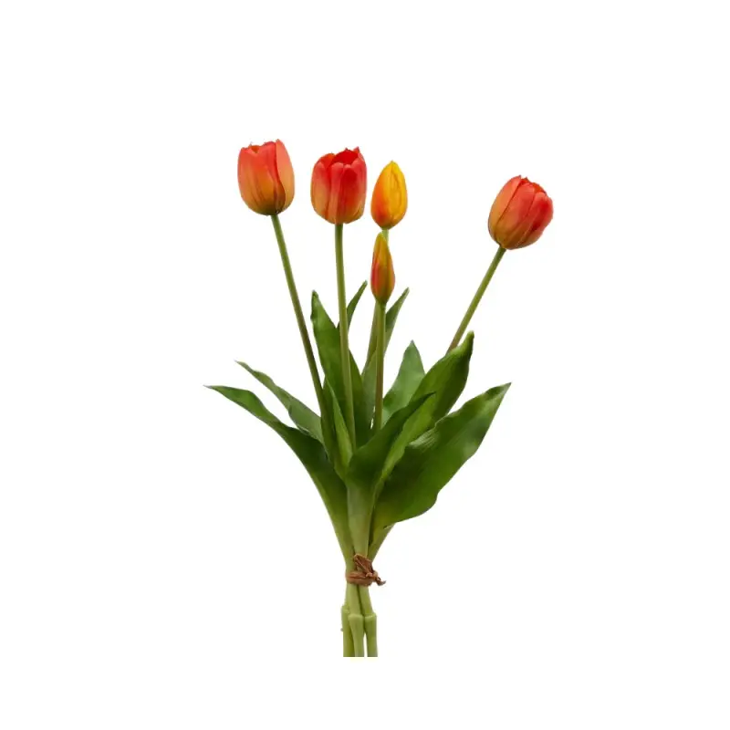 Edg - Mazzo di Tulipani arancione con foglie H40 | Rohome