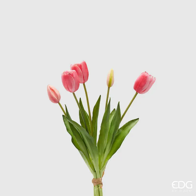 Edg - Mazzo di Tulipani rosa scuro con foglie H40 | Rohome