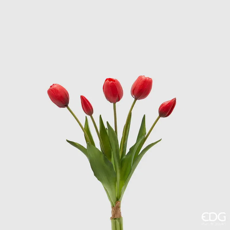 Edg - Mazzo di Tulipani rossi con foglie H40 | Rohome
