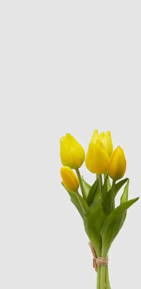 Edg - mazzo tulipano giallo o arancione h 26cm | rohome