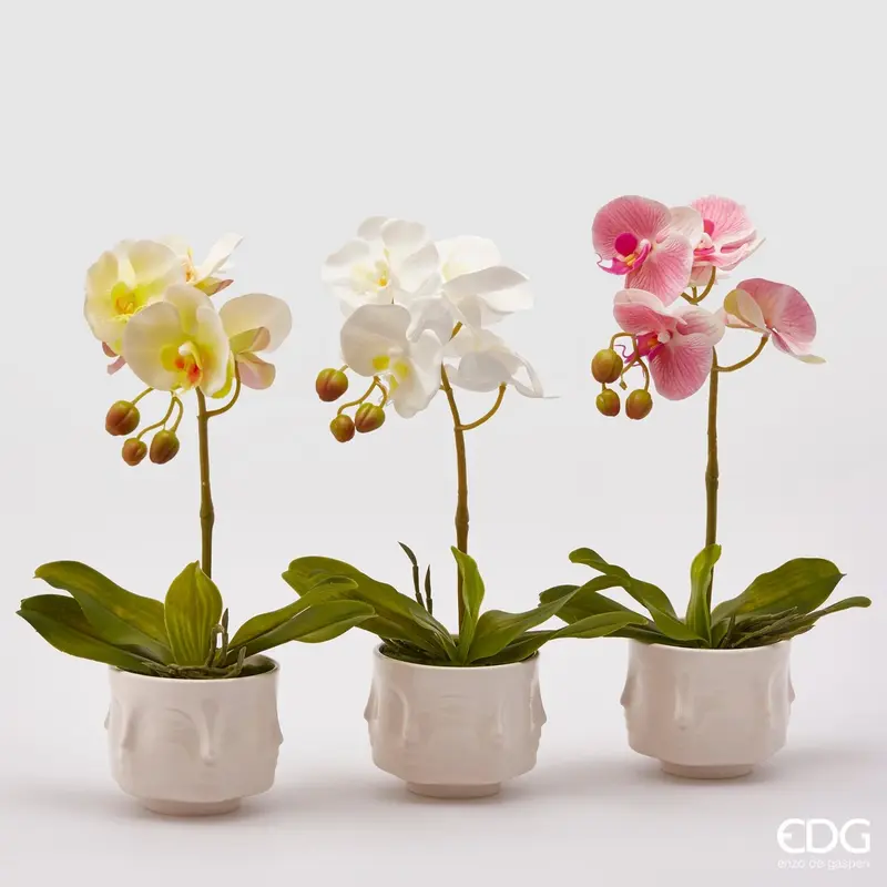 Edg - pianta artificiale orchidea h.40cm | rohome