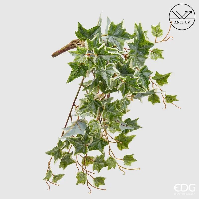 Edg - Ramo artificiale edera cadente anti uv h.50cm | Rohome