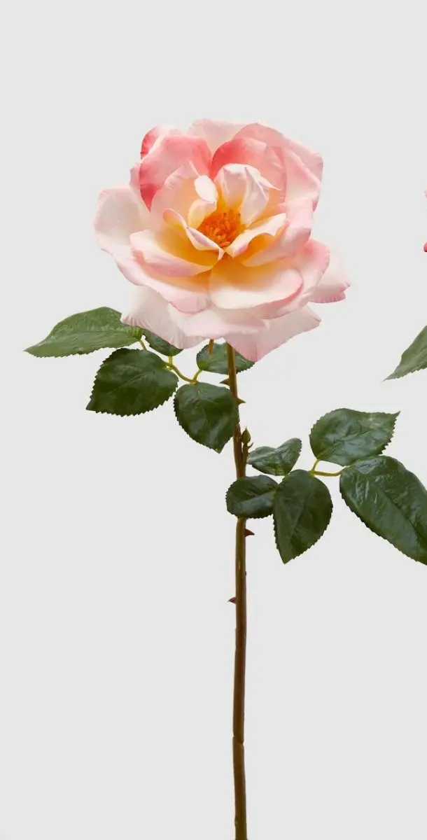 Edg - ramo rosa royal h 65cm pink | rohome