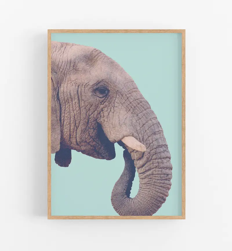 Elefante Art