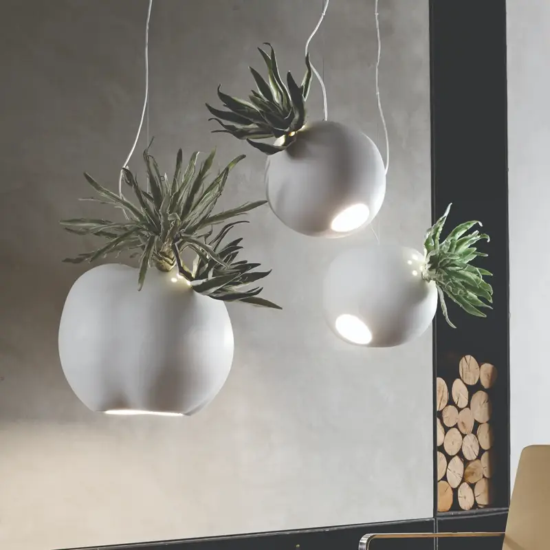 Erbaria lampada a sospensione