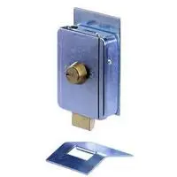 FAAC 712650 Elettroserratura Cilindrica 12V con Controbocchetta Pavimento