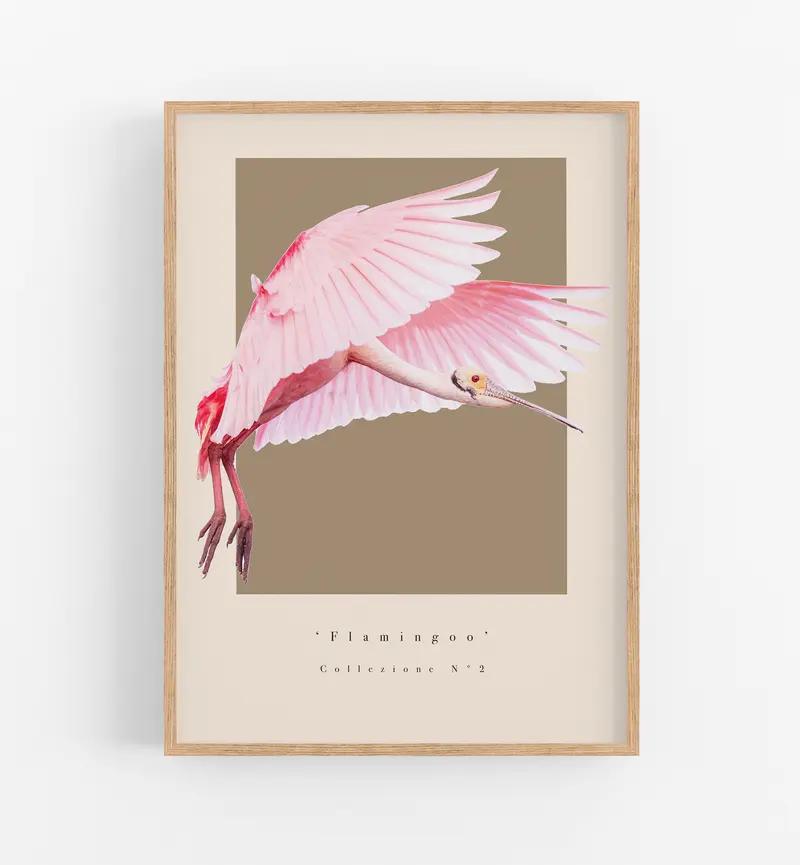 Flamingoo Collezione N°2