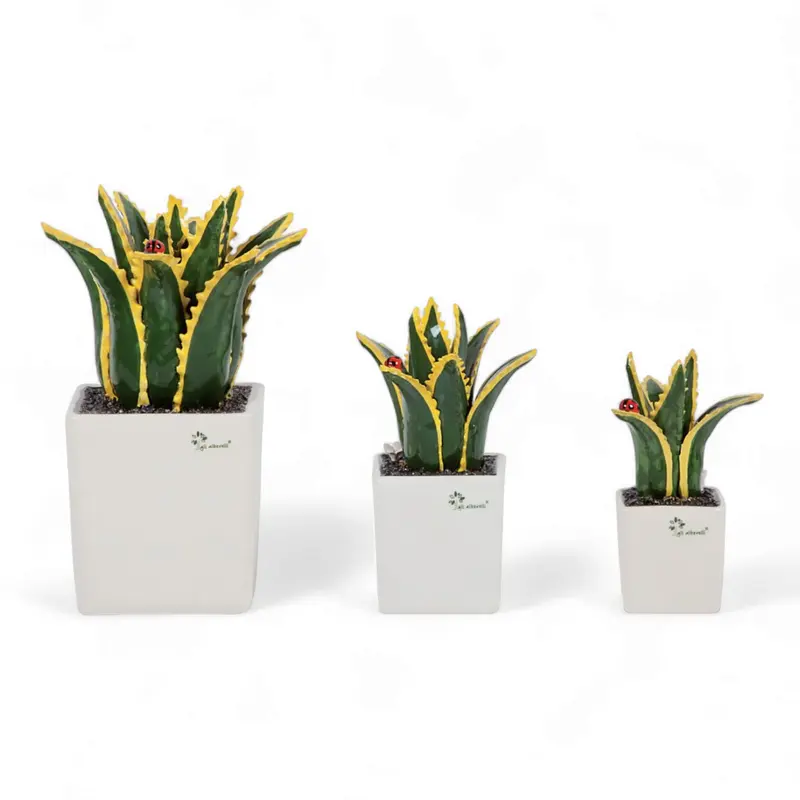 Gli Alberelli Piantina Grassa Aloe Vera 33/23/18