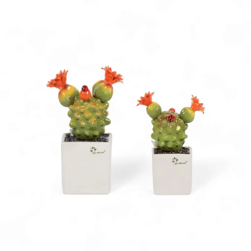 Gli Alberelli Piantina Grassa con Fiore Orange 33/23/18