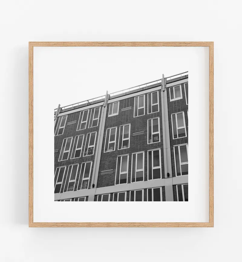 Interno 38