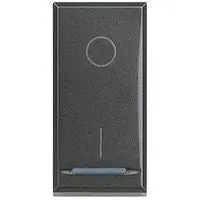Interruttore BTicino HS4002 Serie Axolute 2P 20A Antracite Bipolare Premium