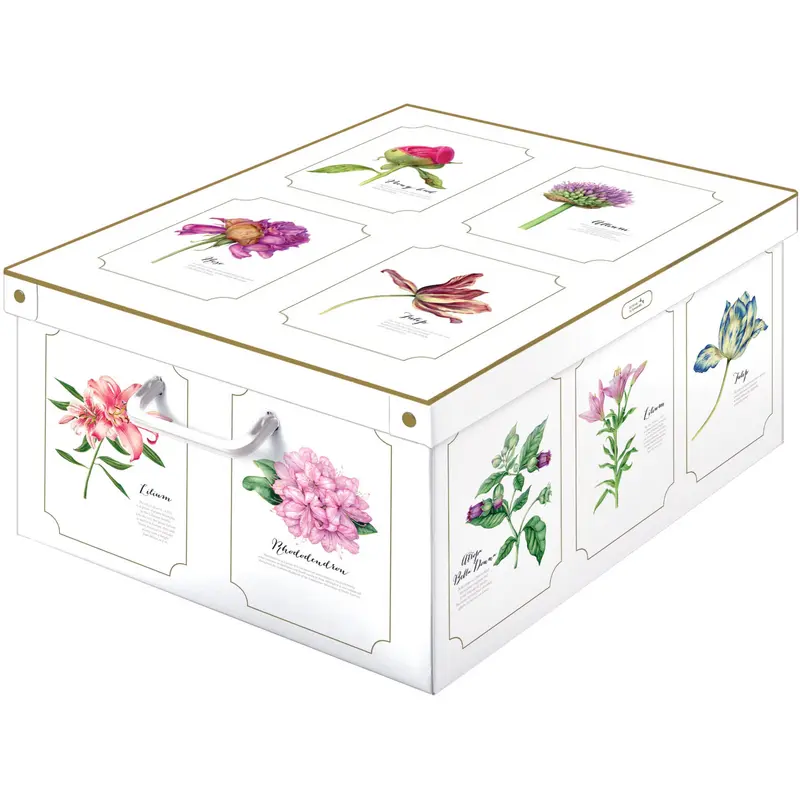 LAVATELLI SCATOLA BOTANIC 39x50x24