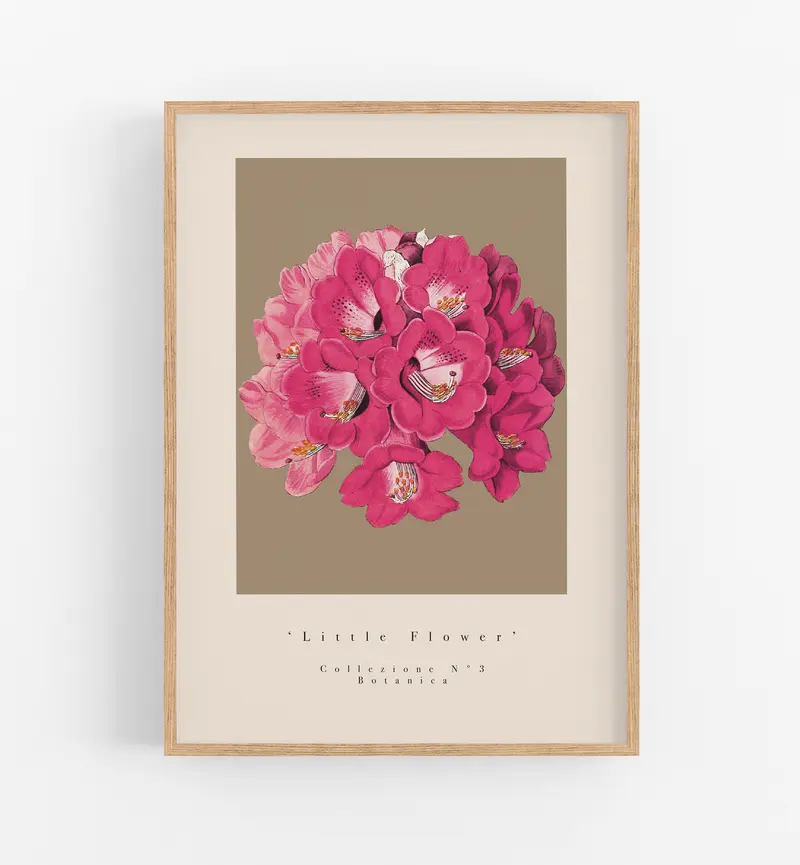 Little Collezione N°3
