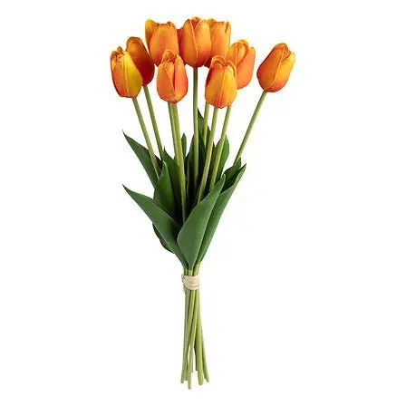 Mazzo di Tulipani arancioni H48 | Rohome