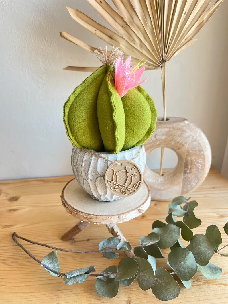 Mini Cactus in panno verde, vaso in cemento con motivi , h circa 18 cm - fiore staccabile.