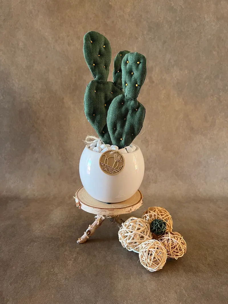 Mini Opuntia verde scuro con vaso in ceramica bianco lucido - in pronta consegna