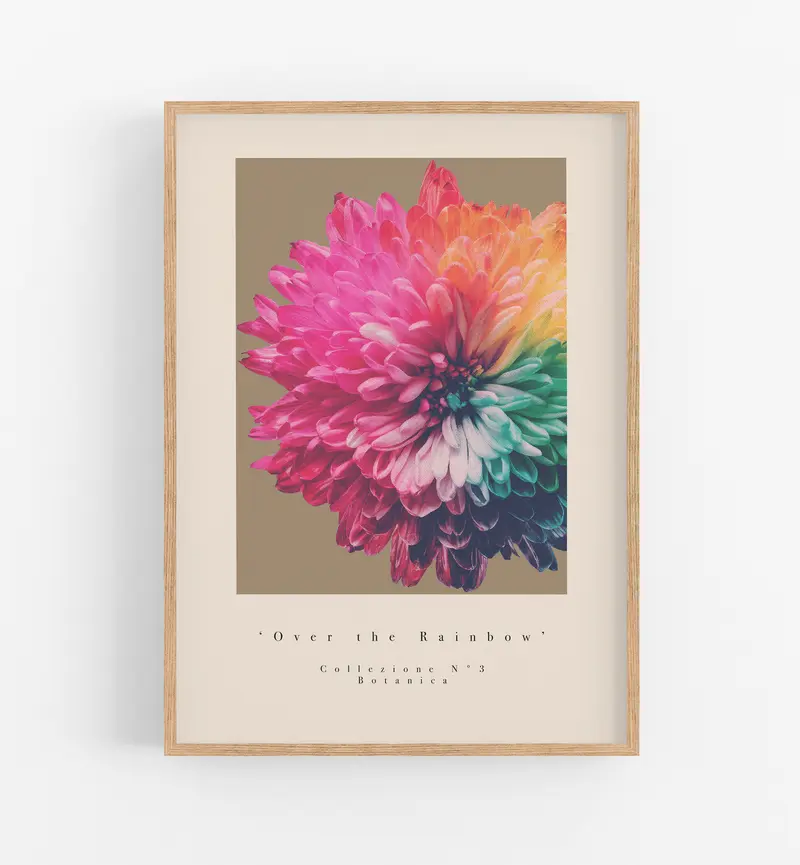 Over The Rainbow Collezione N°3