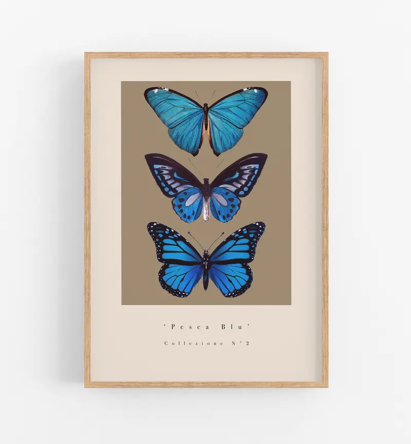 Pesca Blu Collezione N°2
