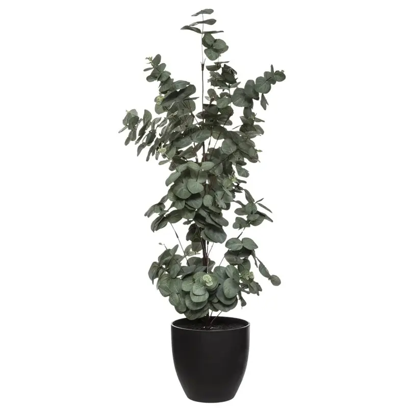 Pianta artificiale eucalipto h 85 cm