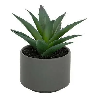 Pianta grassa con vaso grigio H 13 cm | Rohome