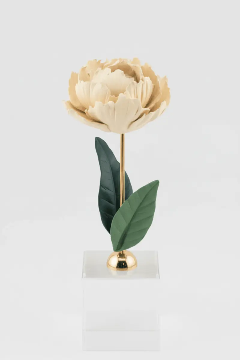 Pianta Peonia in ceramica colore avorio su base cubo h.18cm | Rohome