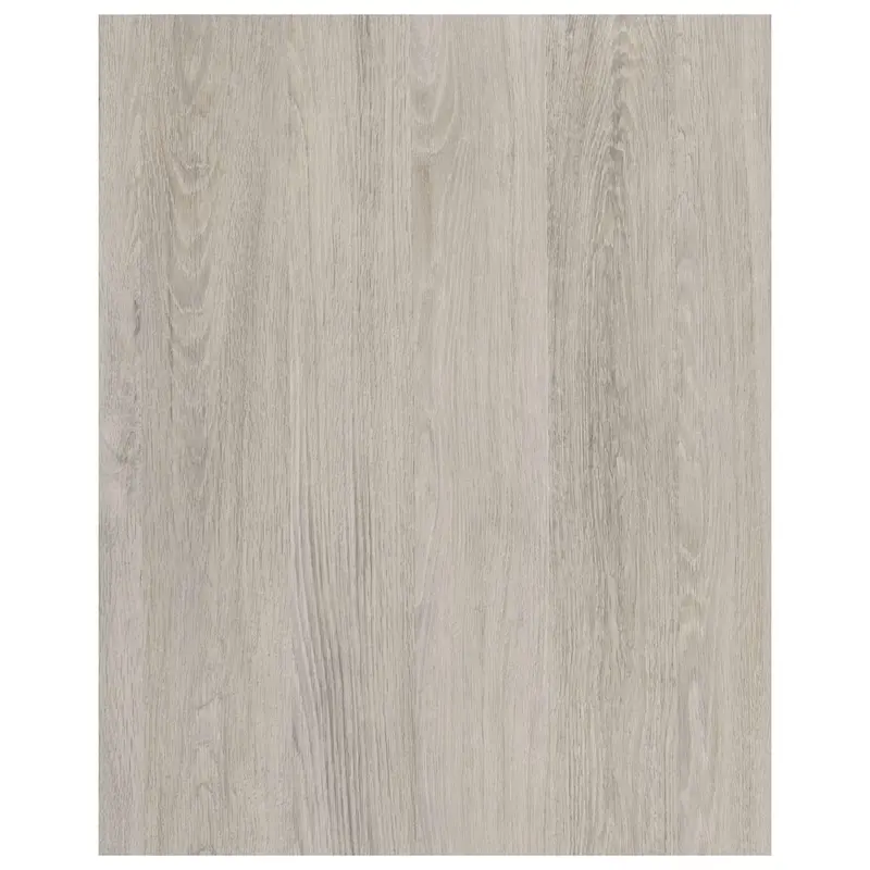 Plastica Adesiva 280.3188 2,5 M - 6 Rt