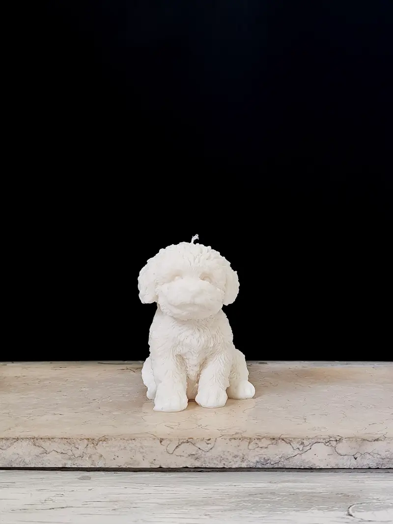 Puppy