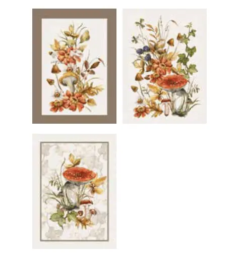 Set 3 strofinacci in cotone autunno 25 | rohome