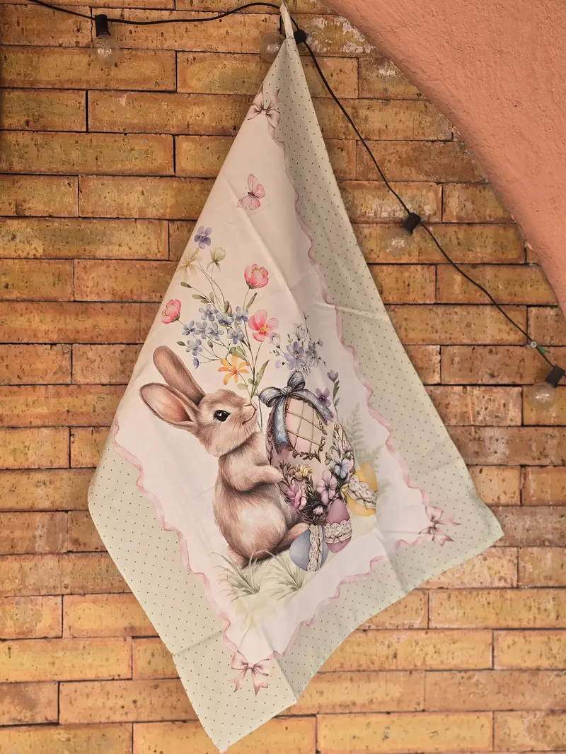 Set 5 strofinacci bunny