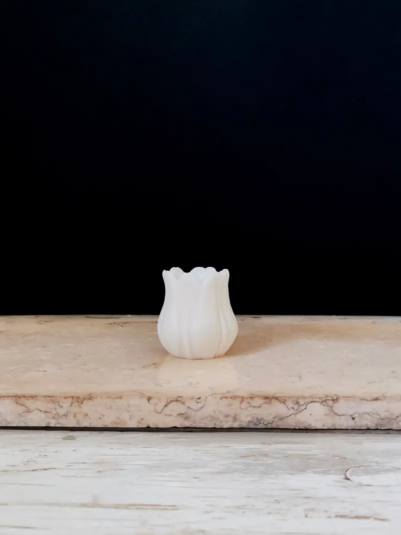 Tulipano