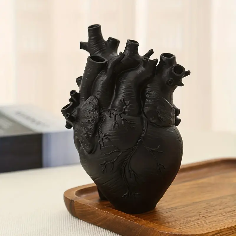Vaso cuore anatomico