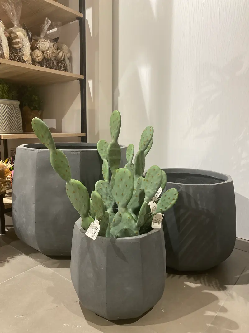Vaso kenia | rohome