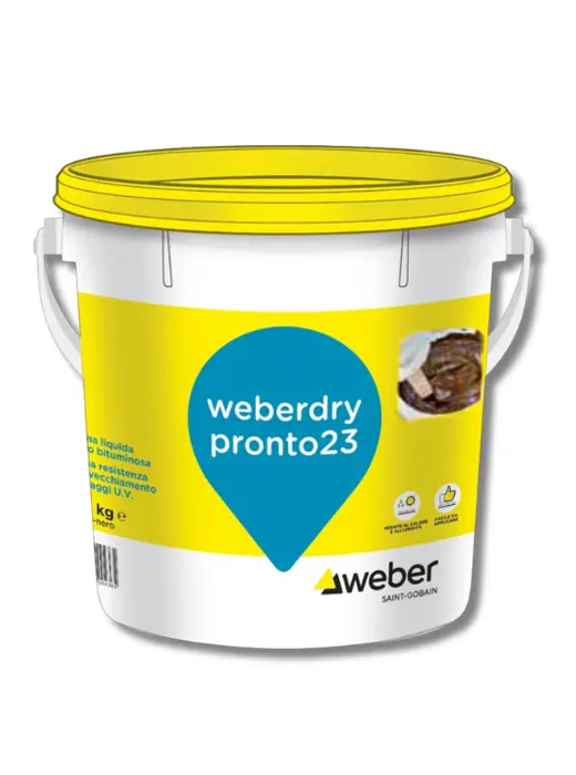 WEBERDRY PRONTO23 Kg 20 - Weber