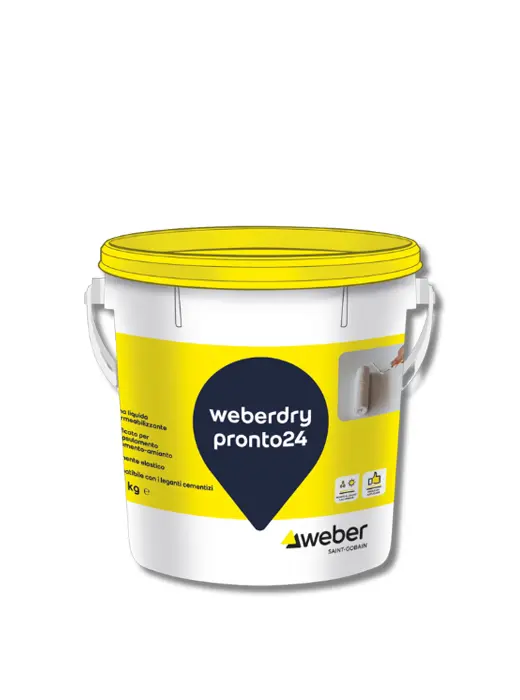 WEBERDRY PRONTO24 Bianco Kg 5 - Weber